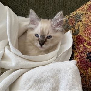 Meet your Posher, Haley